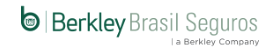 Berkley Brasil Seguros